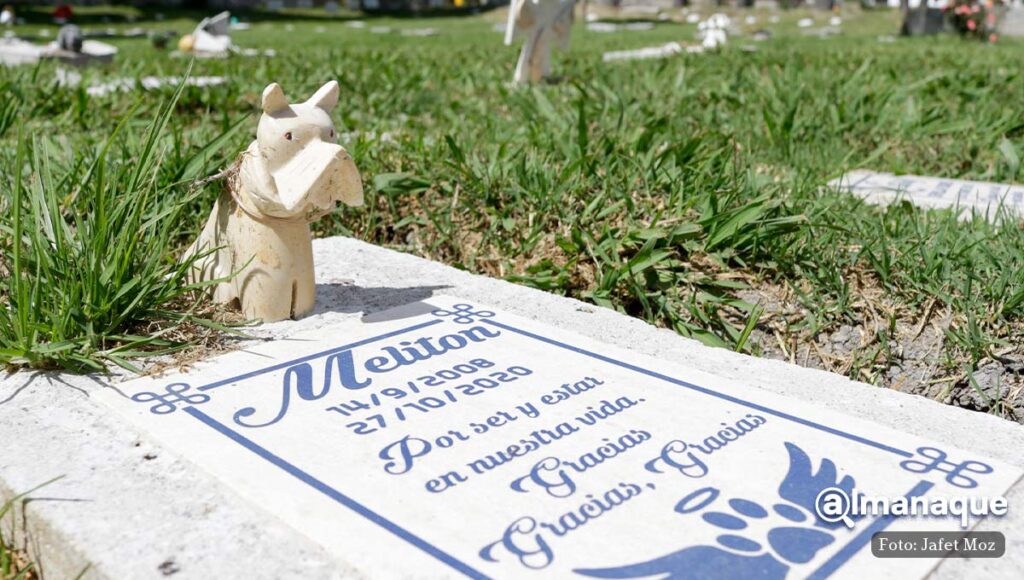 cementerio y crematorio de mascotas puebla amigo eterno 1