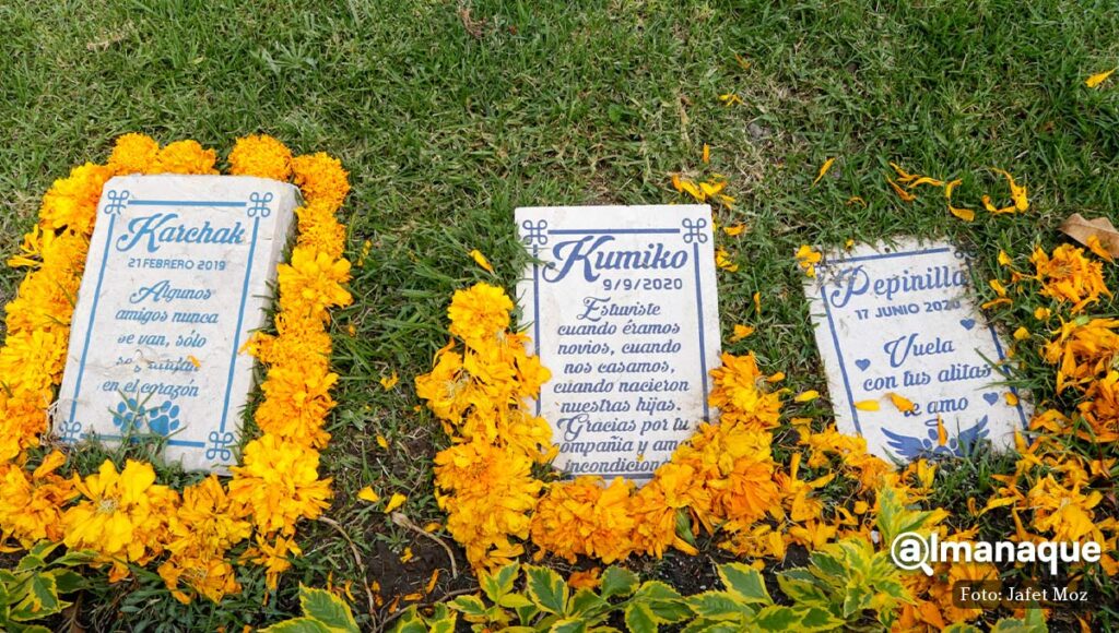 cementerio y crematorio de mascotas puebla amigo eterno 6