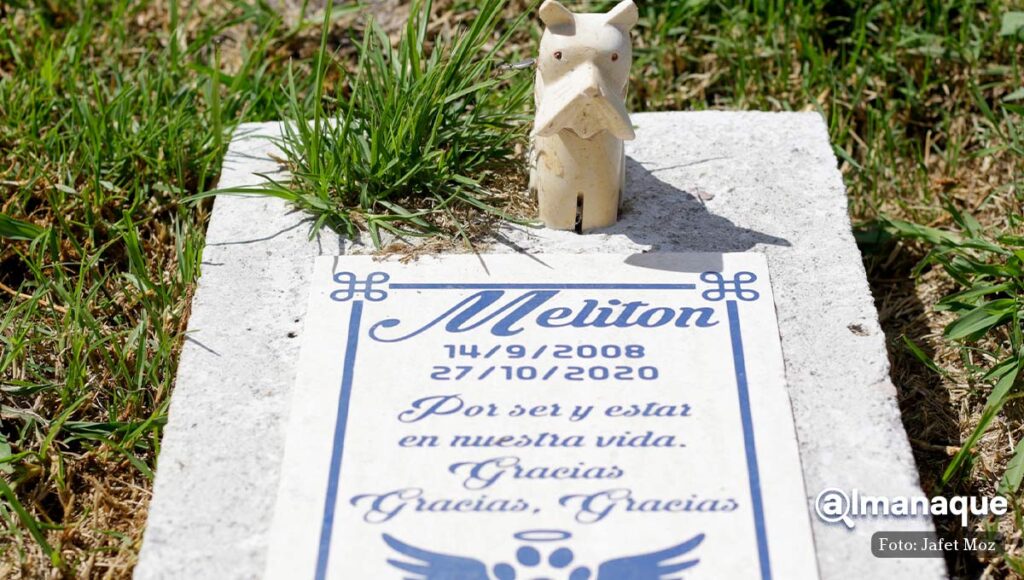 cementerio y crematorio de mascotas puebla amigo eterno 7