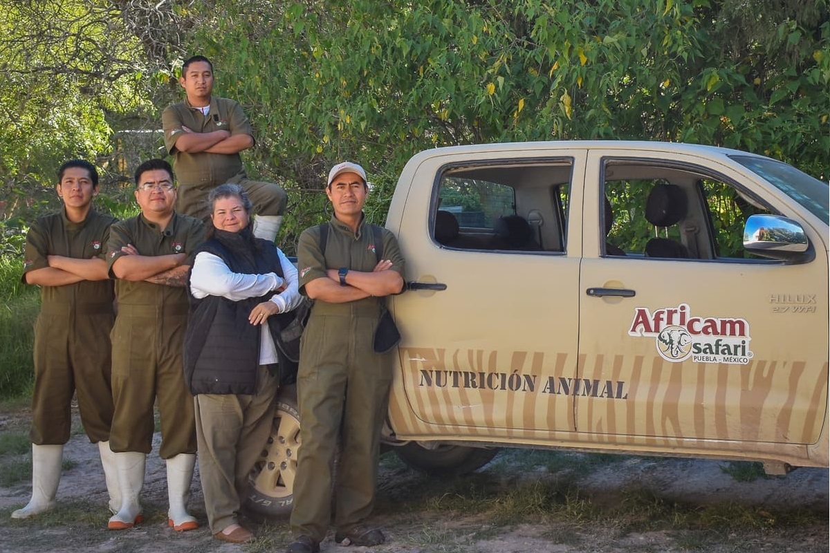 ¿Te interesa? Estas son las 13 vacantes que lanzó Africam Safari 1 empleo africam safari