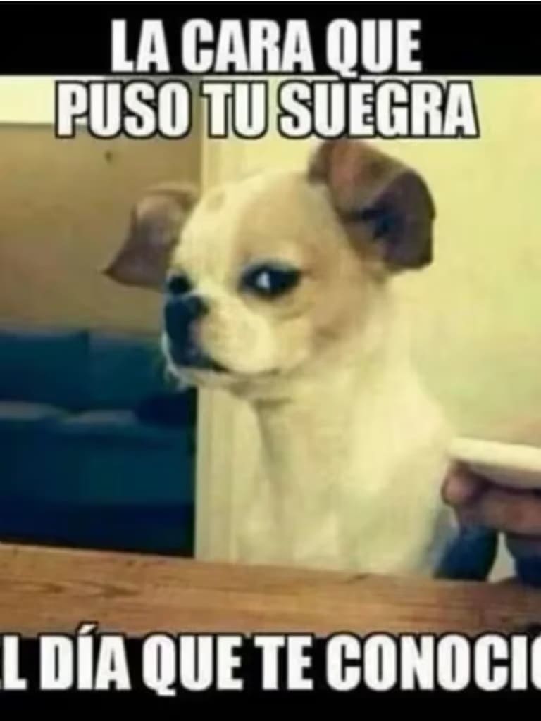memes suegra 5