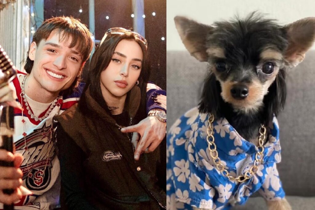 nicki nicole llama perro a peso pluma