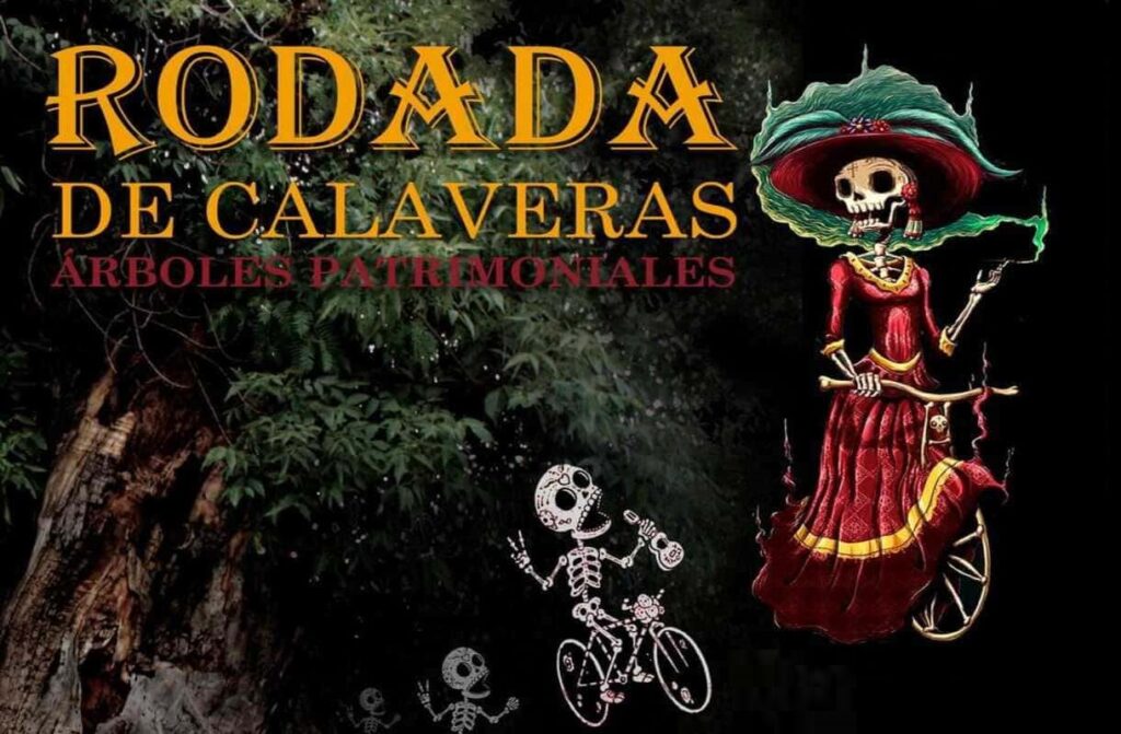 Alistan Rodada de Calaveras en honor a los árboles patrimoniales de Puebla
