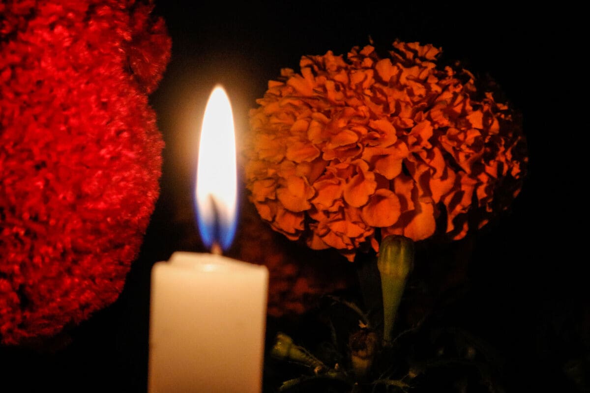 ¿Qué simboliza el cempasúchil? Te contamos la historia de esta flor para el Día de Muertos 1 ¿Qué simboliza el cempasúchil? Te contamos la historia de esta flor para el Día de Muertos