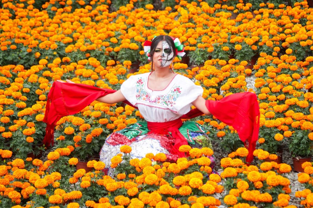 flor de Cempasúchil