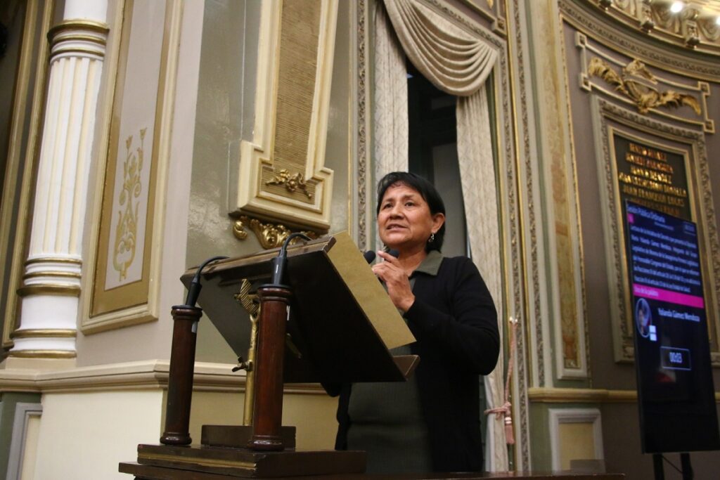 Impulsan iniciativa para vigilar funcionamiento de spas y hoteles para mascotas