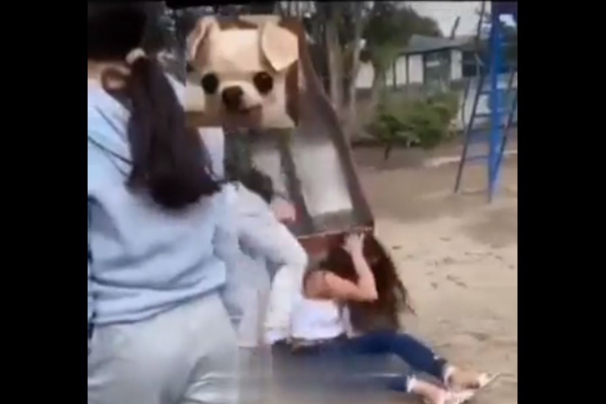 VIDEO: Alumnas de la secundaria Manuel Ávila Camacho, de Libres, golpean a una compañera 1 secundaria Manuel Ávila Camacho