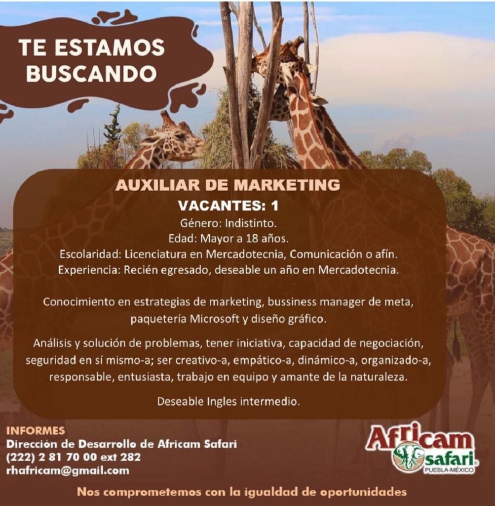 auxiliarde marketing africam safari