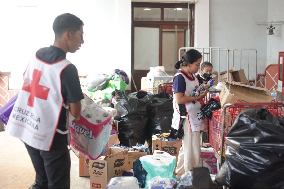 Morena propone hasta 8 años de cárcel por robar donaciones para damnificados 1 Morena