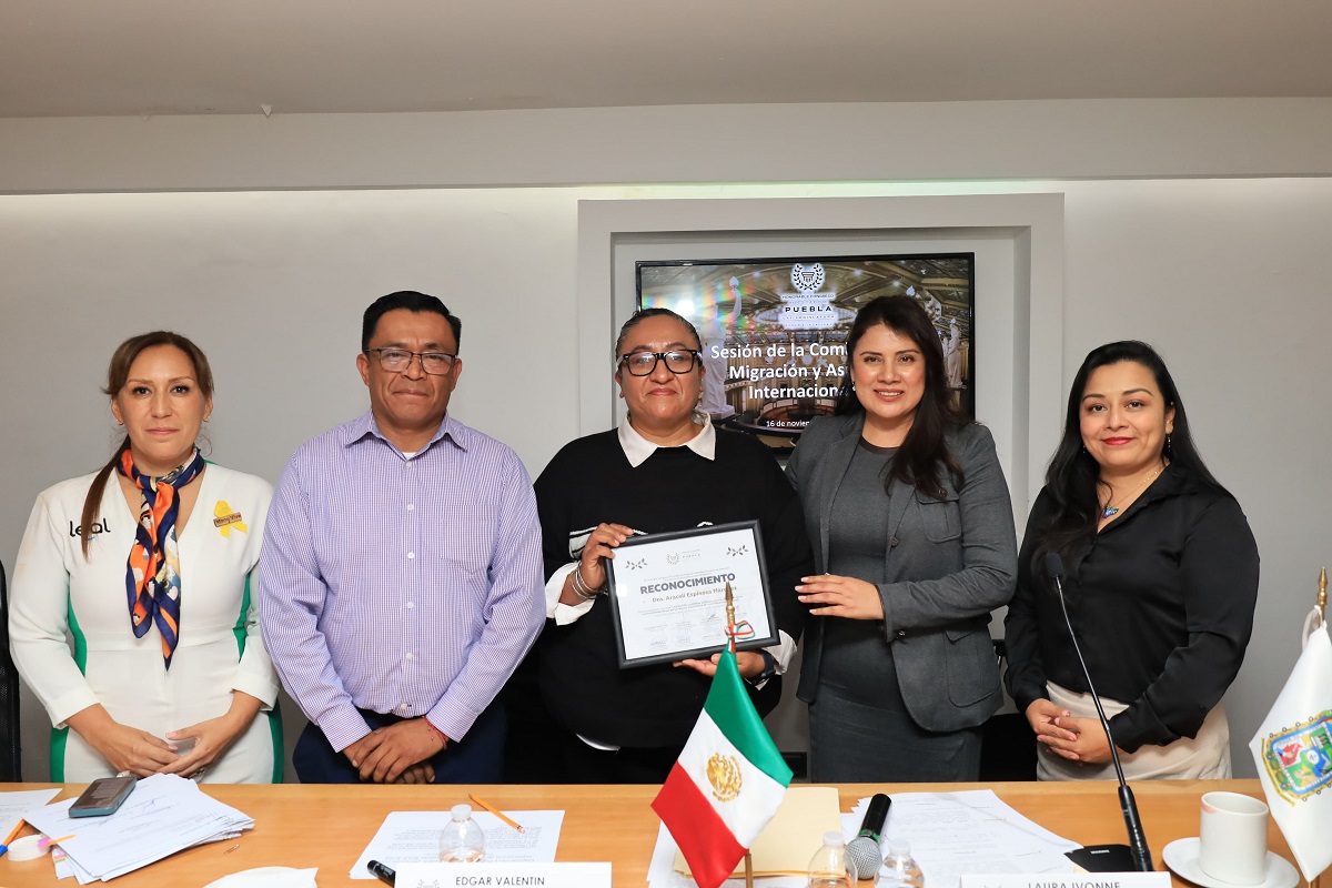 comisión de migración