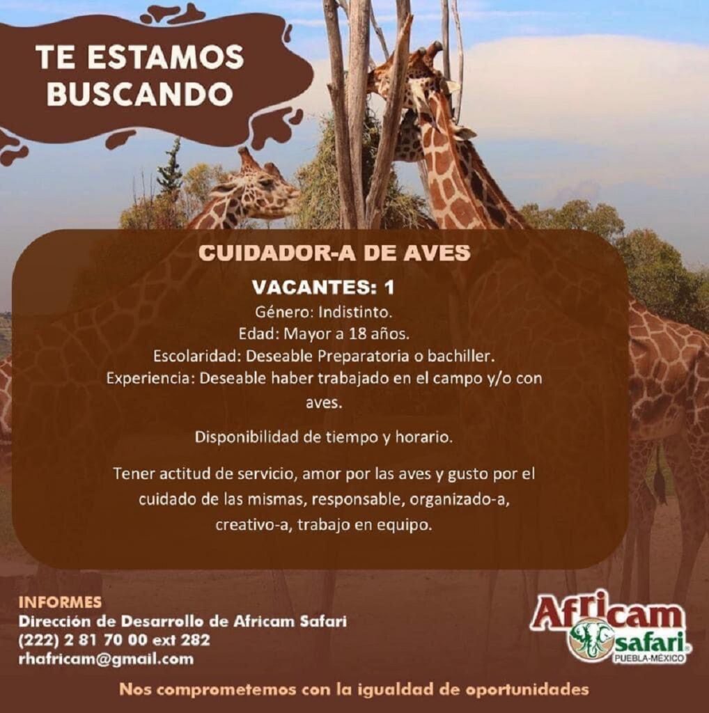 cuidador de aves africam safari