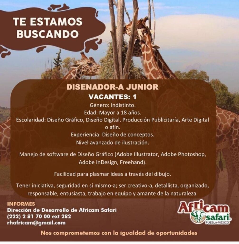 disenador junior africam safari