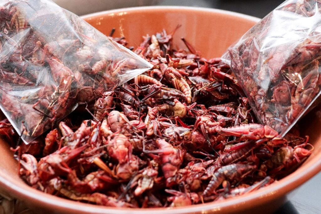 Tamales, elotes, helados y más, encontrarás en la Feria del Maíz en Huejotzingo 12 Feria del Maíz en San Miguel Tianguizolco, Huejotzingo