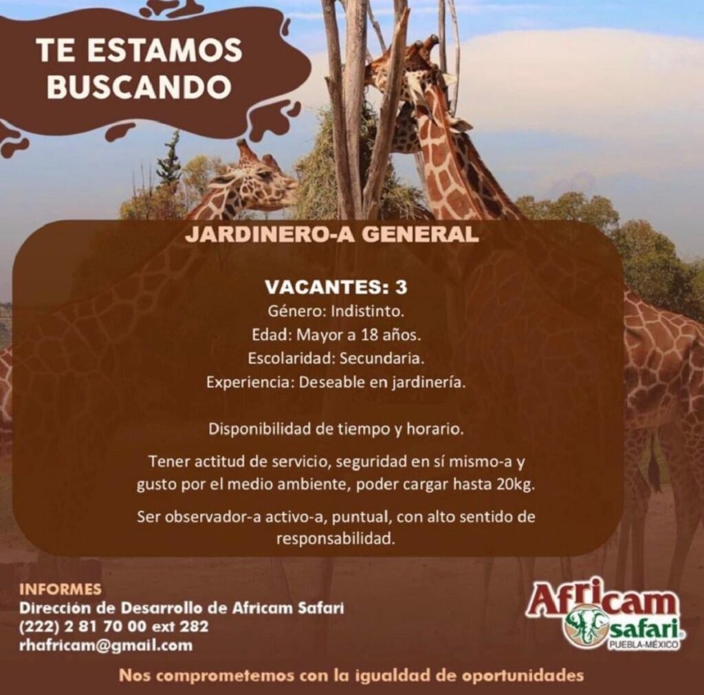 jardinero general africam safari