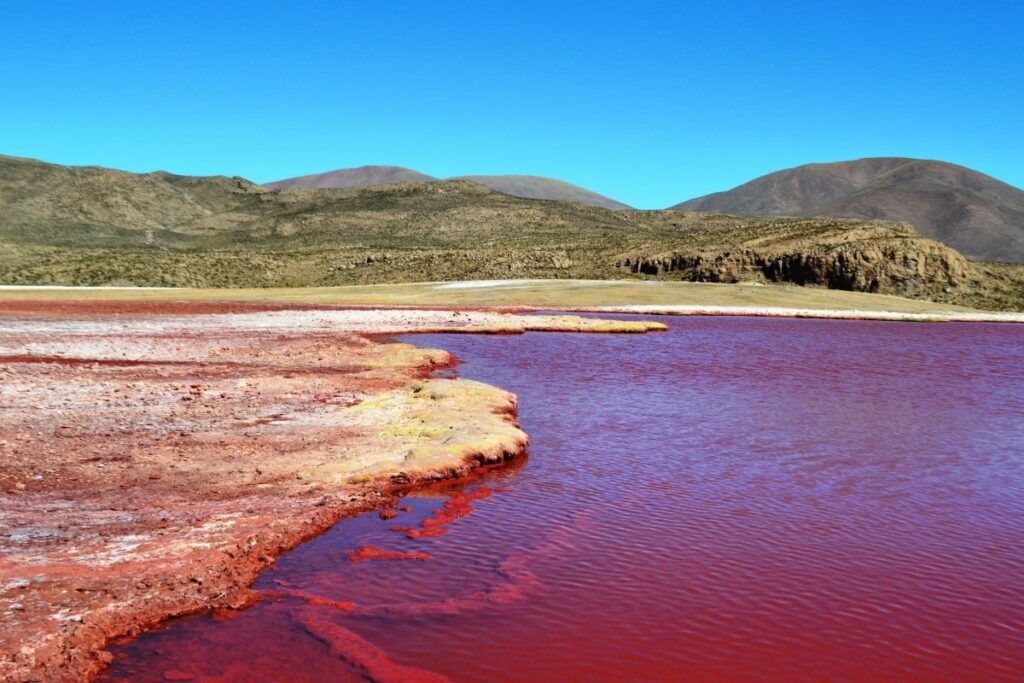 laguna roja en Chile 