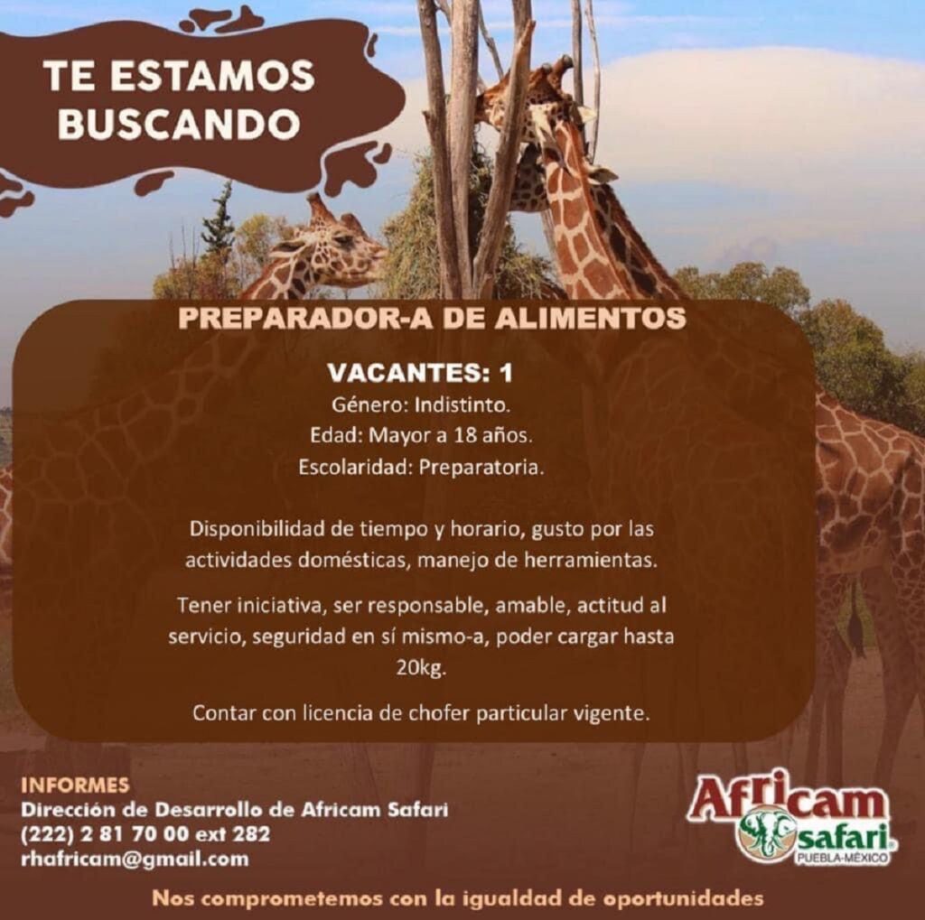preparador de alimentos africam safari