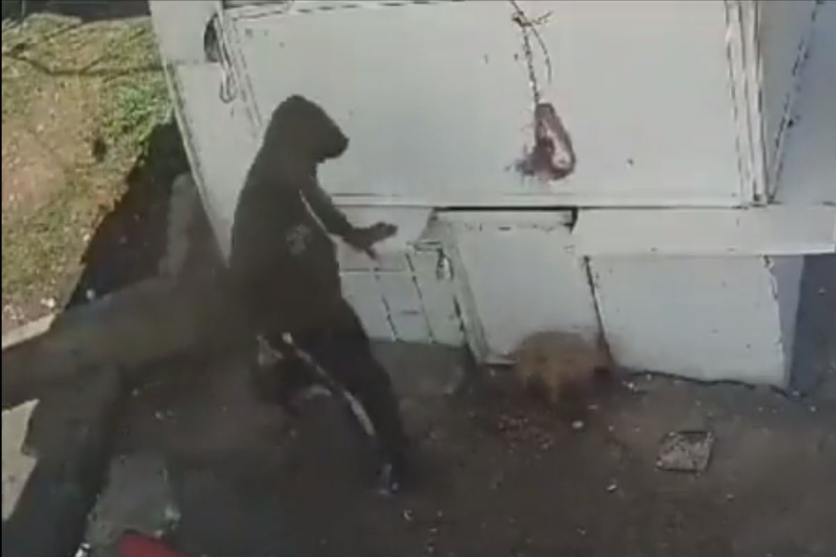VIDEO: Supuesto trabajador de limpia de Naucalpan golpea a perrito 1 Naucalpan