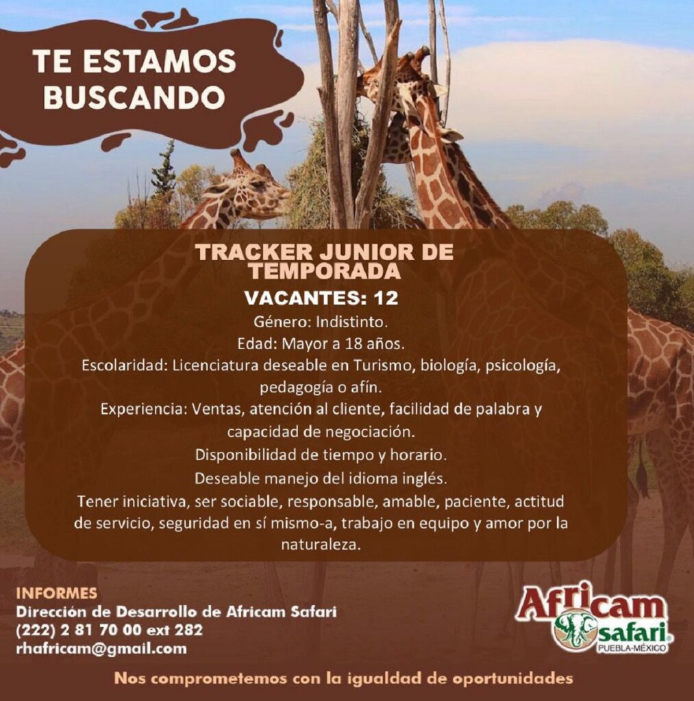 tracker junior temporada africam safari