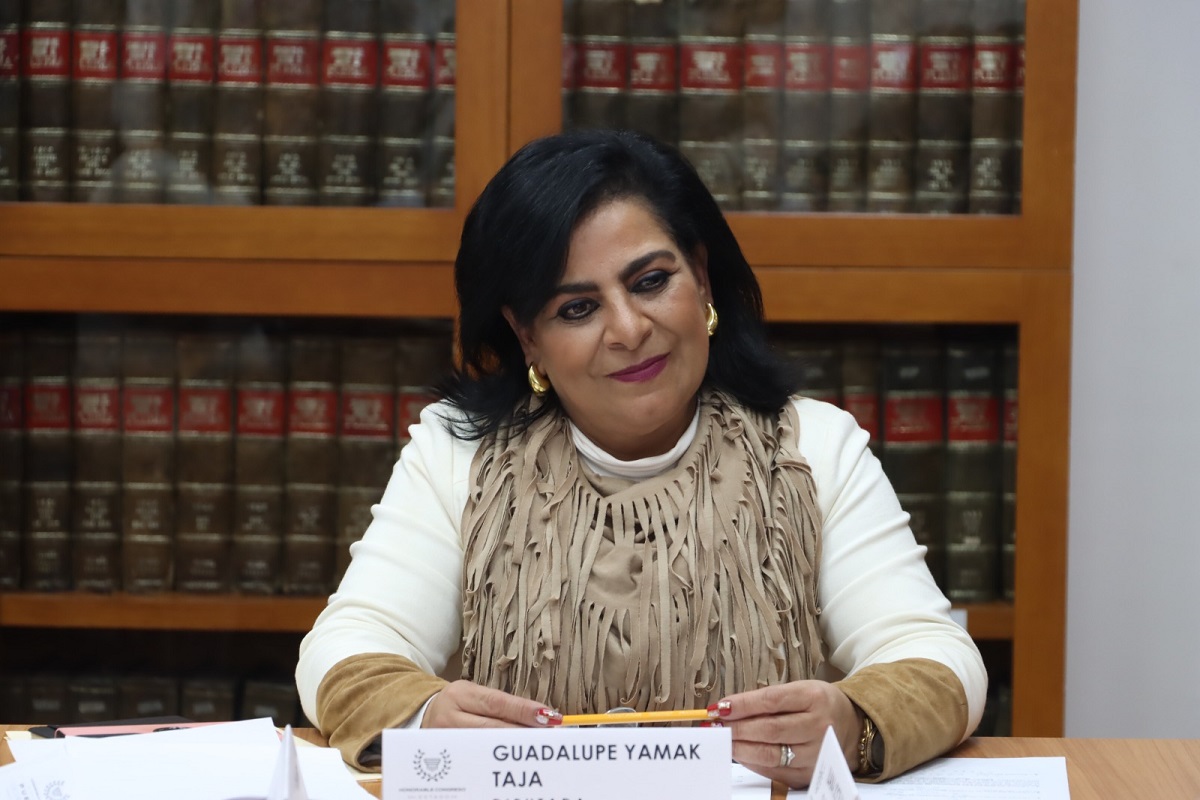 Comisión del Congreso avala exhorto para que ayuntamientos promuevan inclusión y empoderamiento de mujeres con discapacidad 8 1209.1
