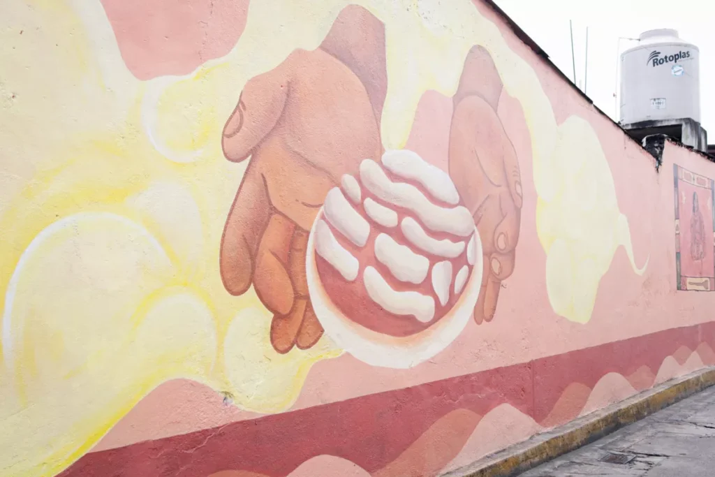 Atempan Ciudades Murales Colectivo Tomate y La Embajada de Paises Bajos 10