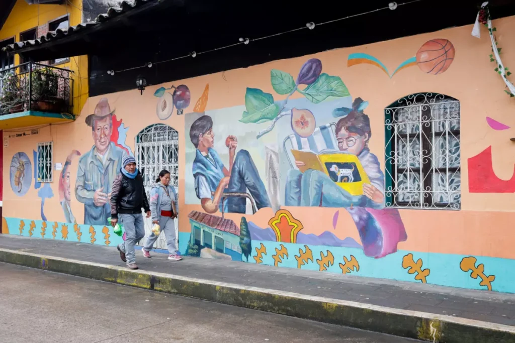 Atempan Ciudades Murales Colectivo Tomate y La Embajada de Paises Bajos 2