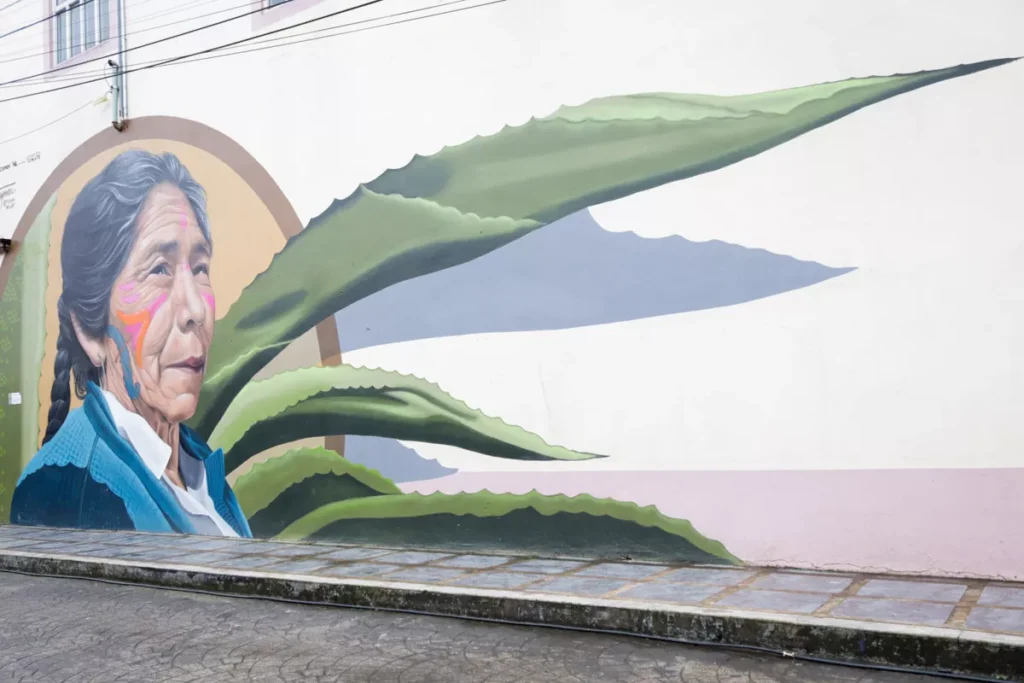 Atempan Ciudades Murales Colectivo Tomate y La Embajada de Paises Bajos 5