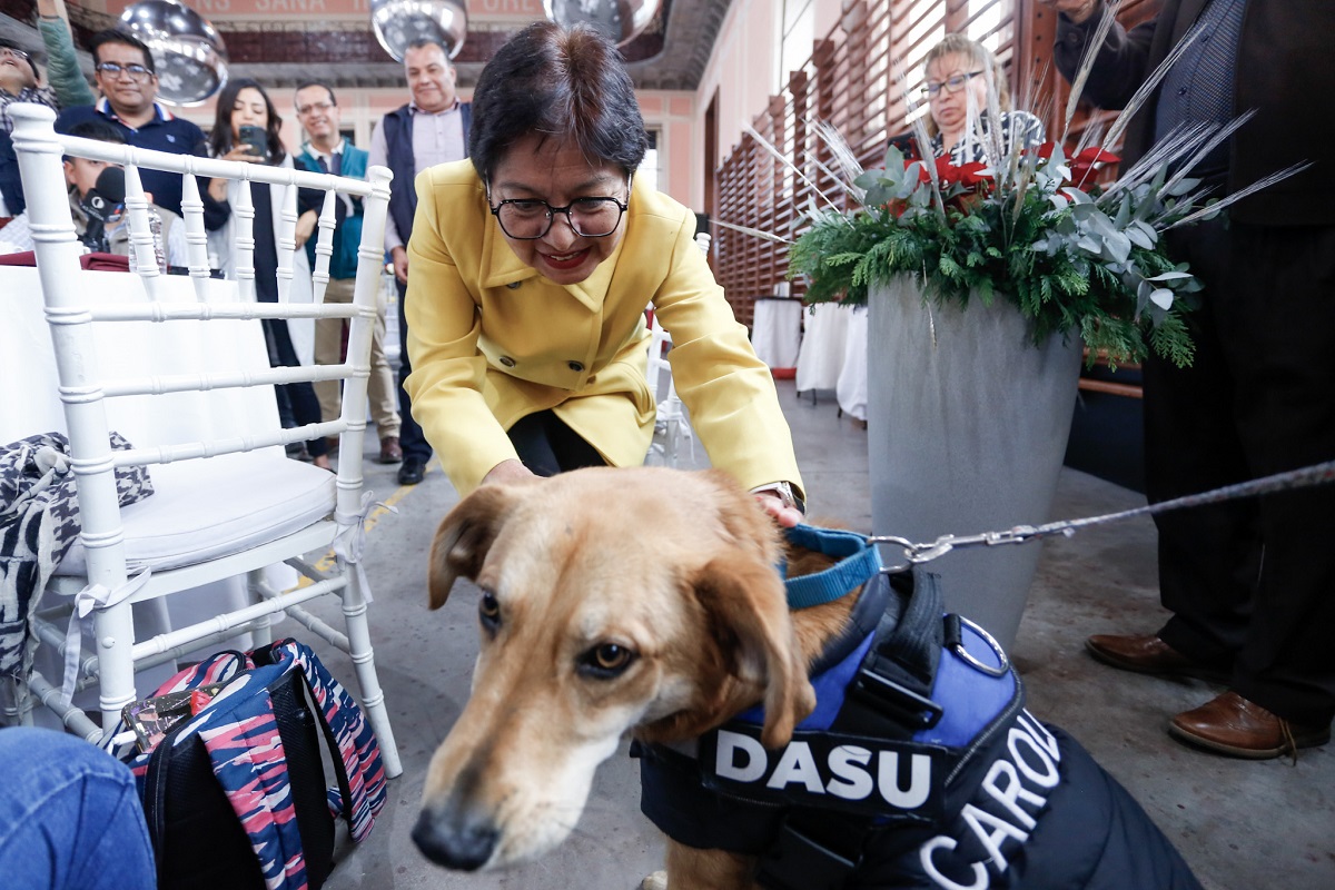 Anuncia rectora de la BUAP que la universidad será pet friendly 1 BUAP será pet friendly