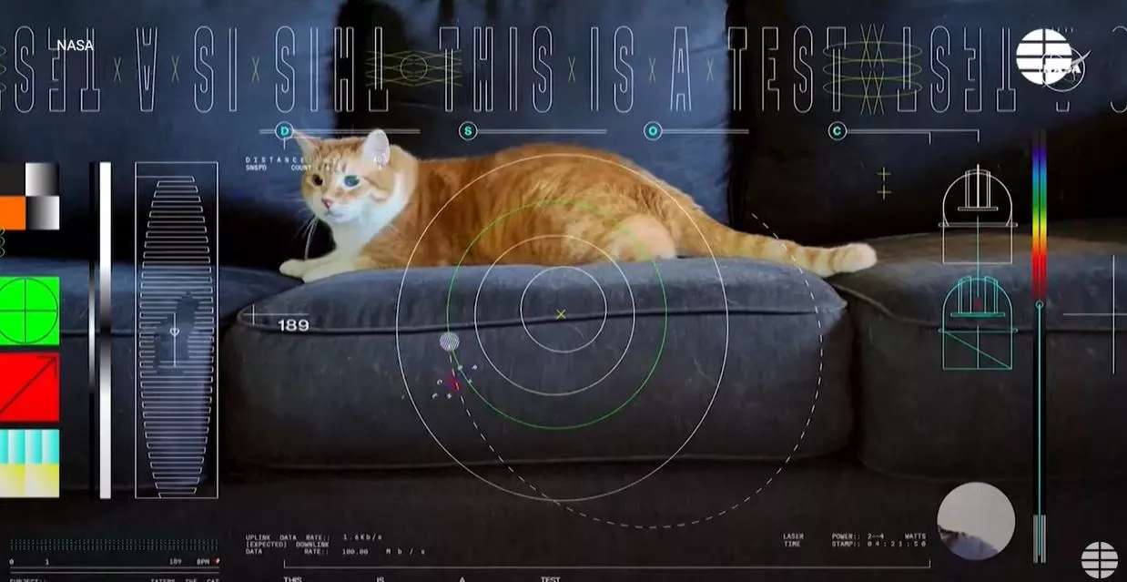 La NASA Logra Histórico Hit | Transmisión Ultra HD de Video Espacial con Gato Protagonista 3 La NASA Logra Historica transmision Ultra HD con Gato Protagonista