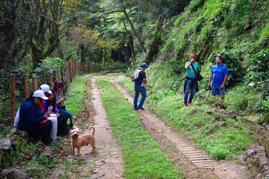 Senderos de Xicotepec Pueblo Magico aniversario