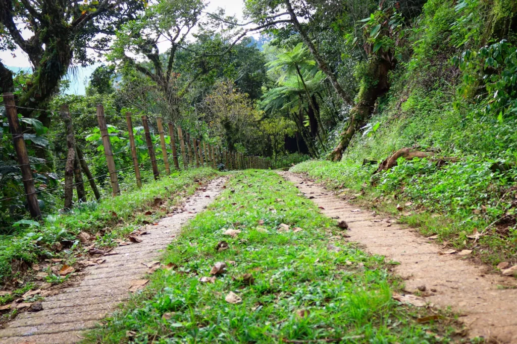 Senderos de Xicotepec Pueblo Magico aniversario 2