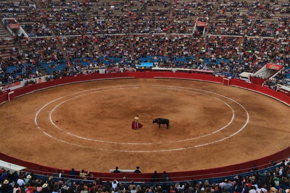 SCJN permite regreso de corridas de toros en CDMX 1 corridas de toros en la Ciudad de México