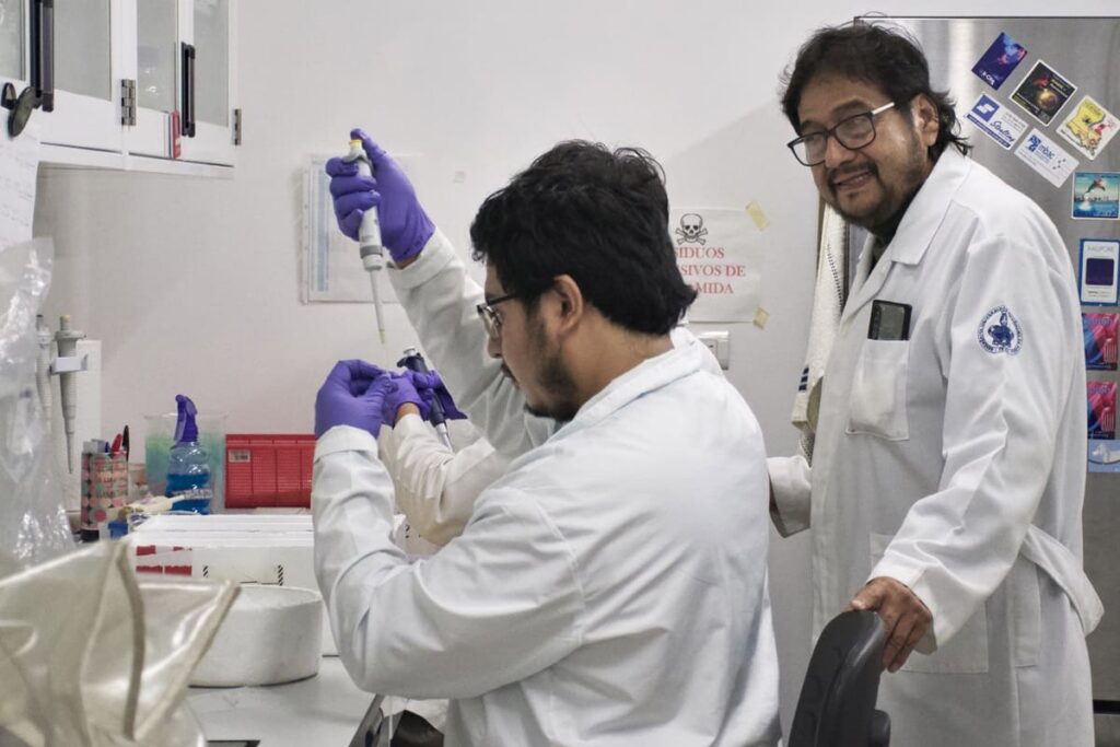 Investigadores de la BUAP analizan pérdida de la memoria por obesidad