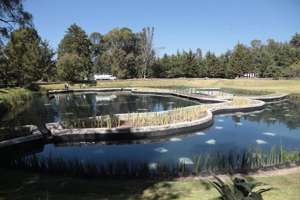 Ayuntamiento de Puebla concluye primera etapa del Bosque del Ajolote 1 parque del ajolote Puebla