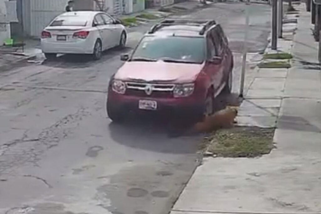 video de perrito atropellado en colonia Galaxia