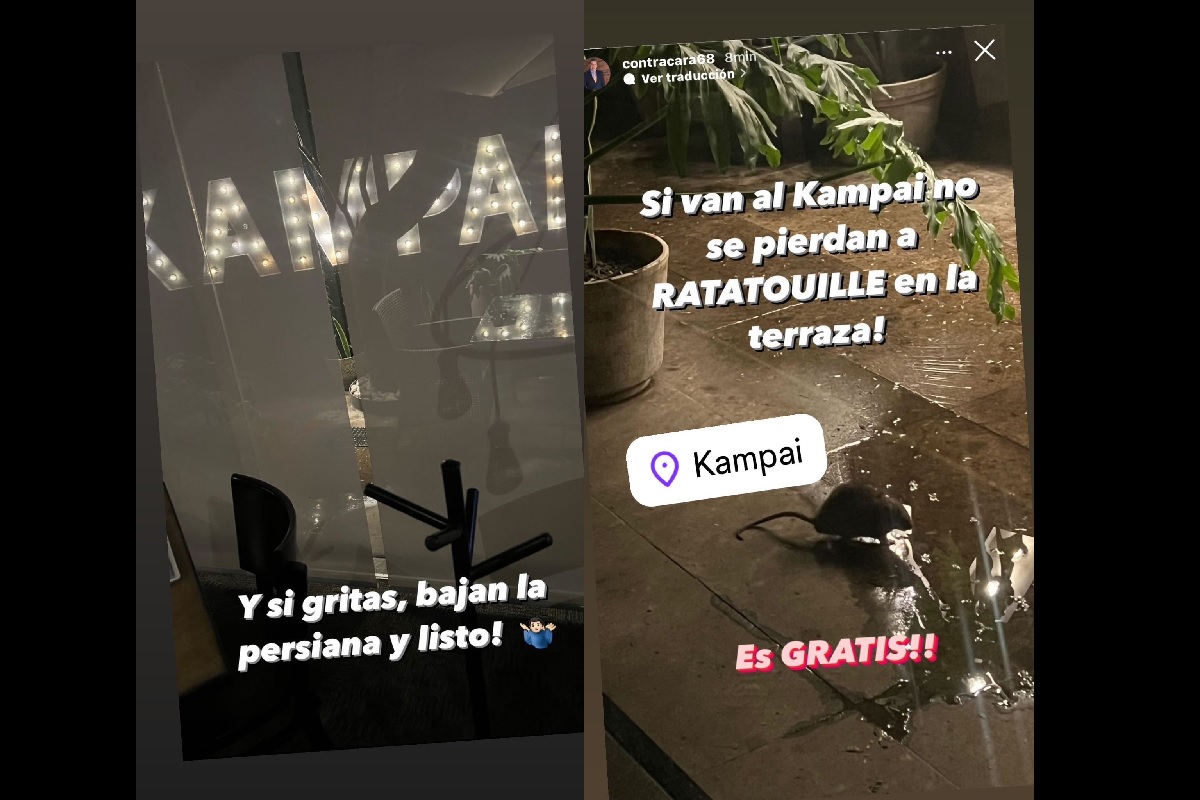 ¡Ratatouille en la terraza! Reportan ratas en el restaurante Kampai Puebla 1 ratas en kampai puebla