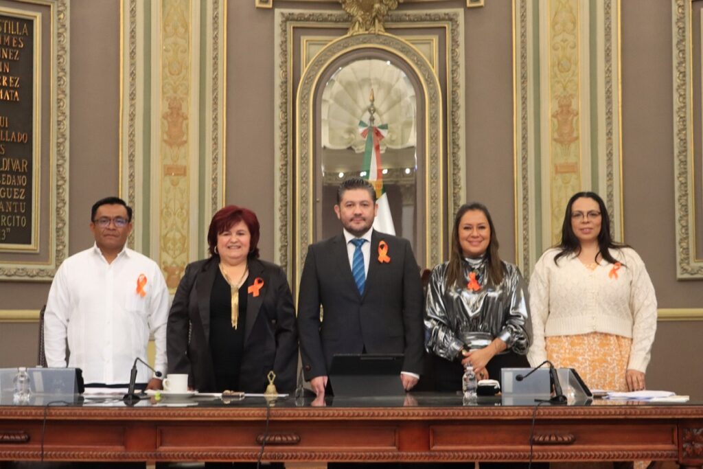 Ante el Pleno de la LXI Legislatura comparece la titular de la Secretaría de Salud