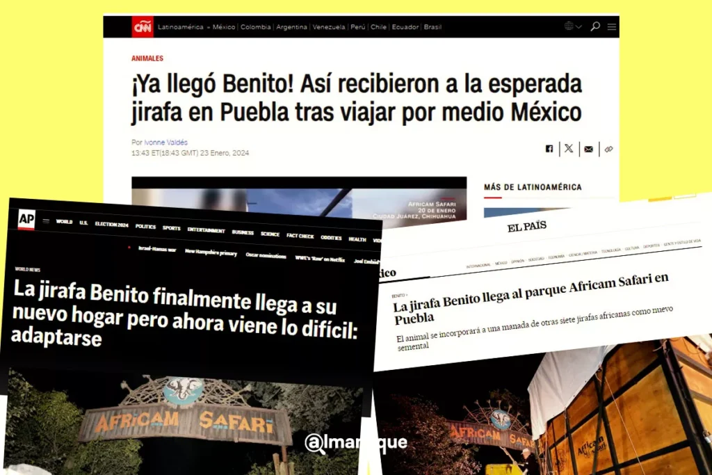 La jirafa Benito se vuelve nota internacional estas son algunas portadas
