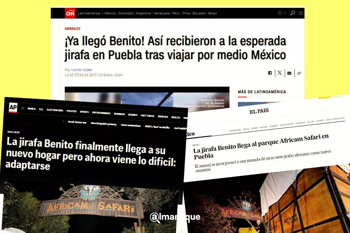 La jirafa Benito se vuelve nota internacional estas son algunas portadas
