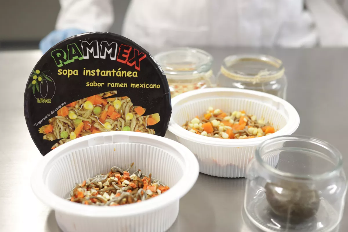 Rammex Paulina Olivas Marifer Vazquez IBERO 13