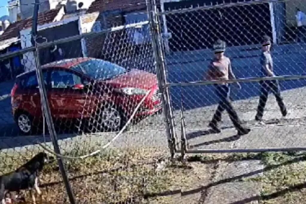 crueldad animal, adolescente dispara a un perro que le ladó en morelia