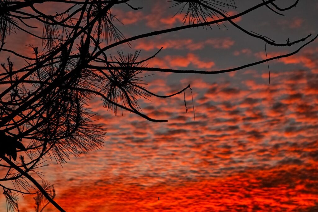 La ciencia explica por qué el cielo se pinta de rojo al atardecer (FOTOS) 19 atardecer en puebla 2