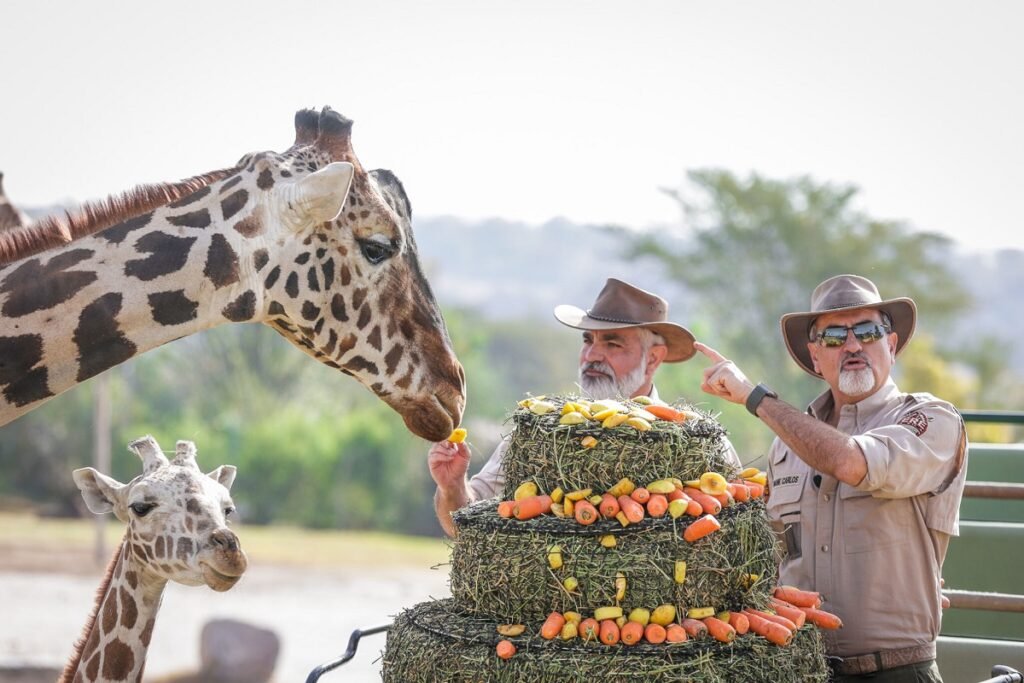 benito comiendo con su nueva familia