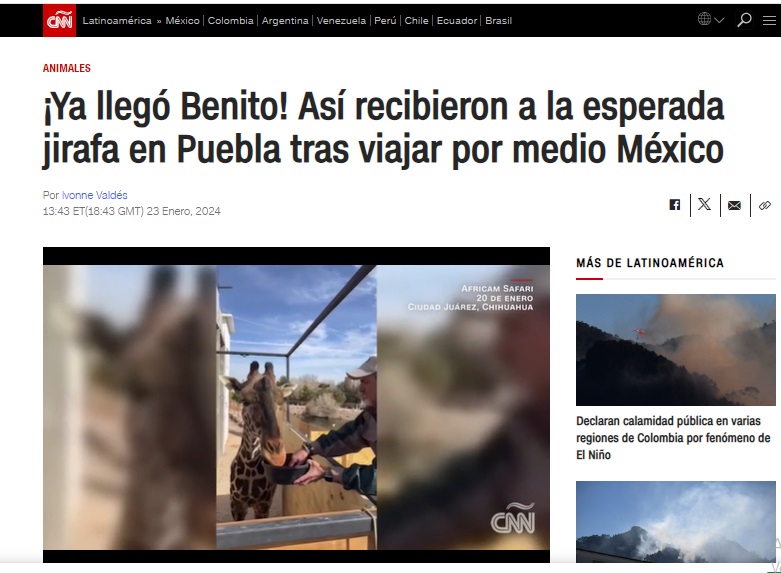cnn jirafa benito
