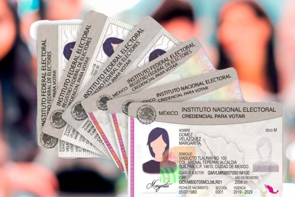 cuándo recoger INE 2024