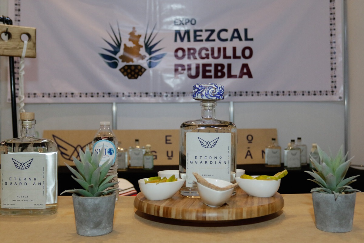 Federación recomienda a agricultores poblanos a no sobreproducir mezcal 1 federacion recomienda no sobreproduccion de mezcal