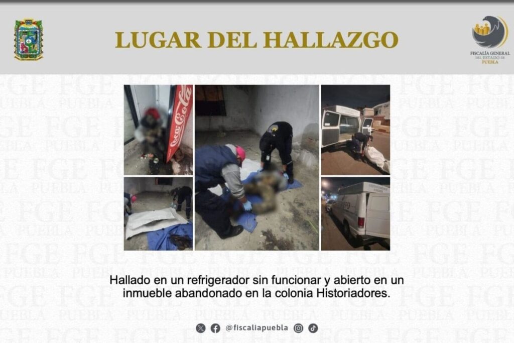 hombre dentro de refri colonia Historiadores