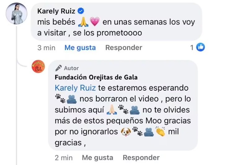 perrirosca en tlaxcala