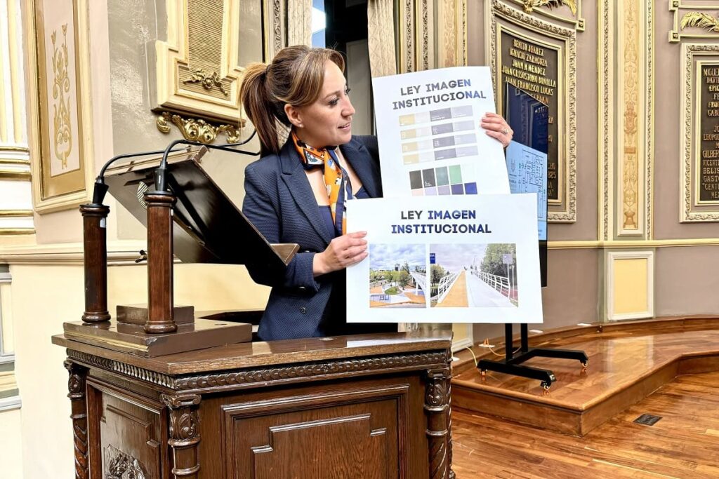 ley de imagen institucional guadalupe leal