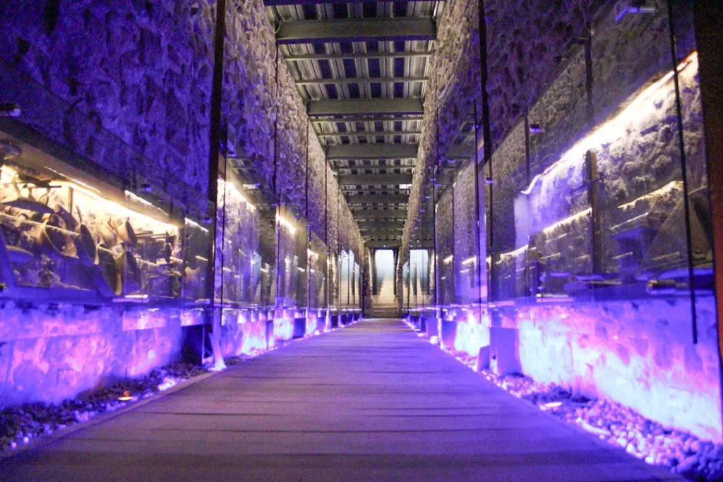 FOTOS: Reabre al público el Pasaje Histórico 5 de Mayo 11 puente de bubas rehabilitacion 4