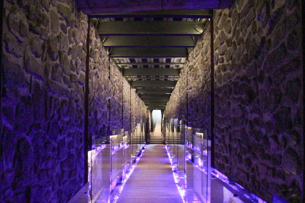 FOTOS: Reabre al público el Pasaje Histórico 5 de Mayo 10 puente de bubas rehabilitacion 5